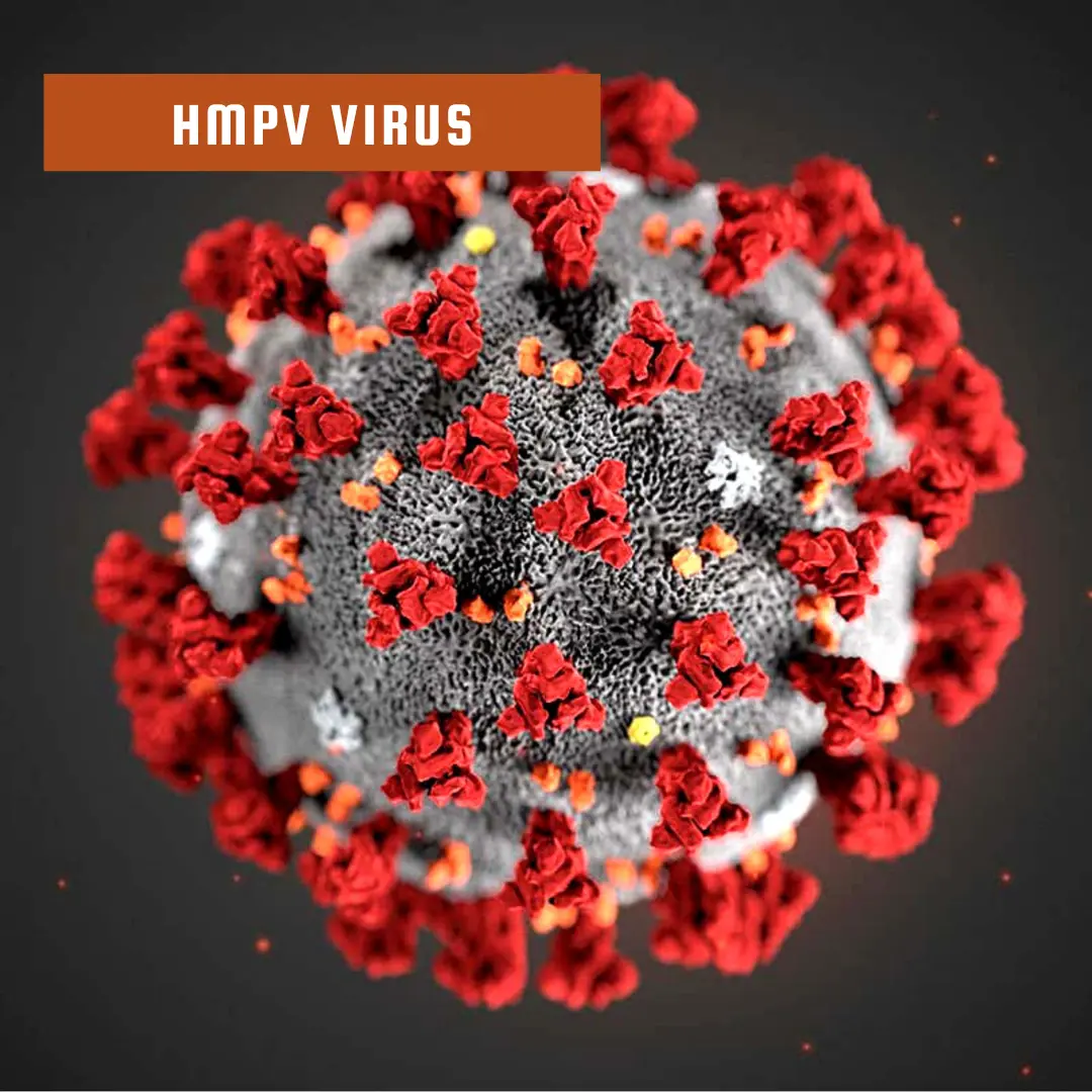 The Impact of HMPV Virus on Children and the Elderly