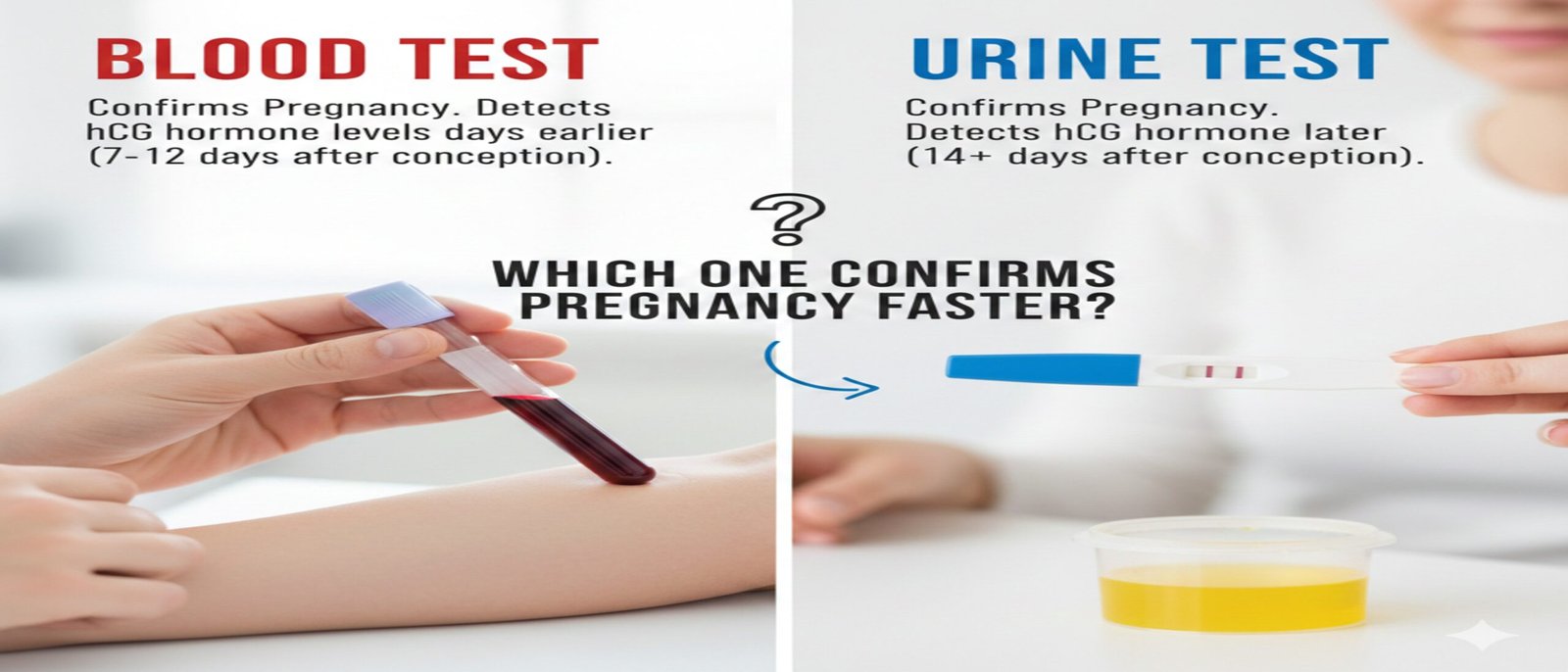 Blood Test or Urine Test