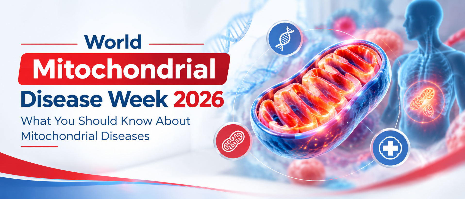 Mitochondrial